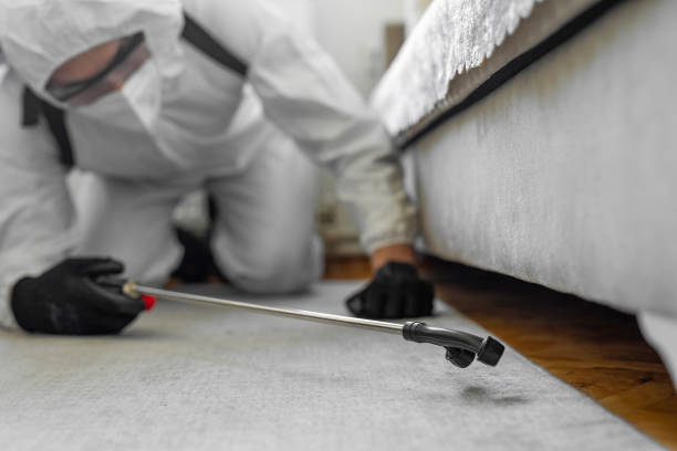 Professional Termite Control technician working in South Whitley, IN