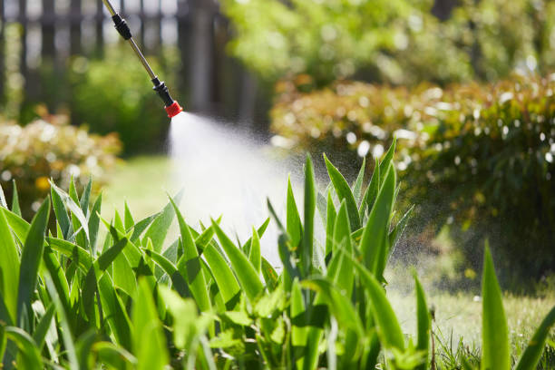 24/7 Emergency Termite Control experts in South Whitley, IN