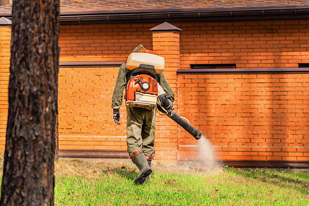 Trusted Emergency Pest Control service in South Whitley, IN - Nex Pest Control